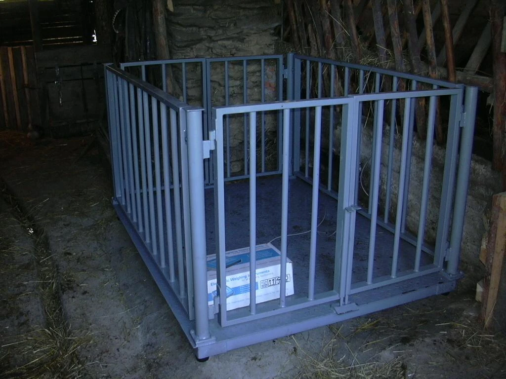 Dobytci Podlahov&eacute; dobytč&iacute; v&aacute;hy